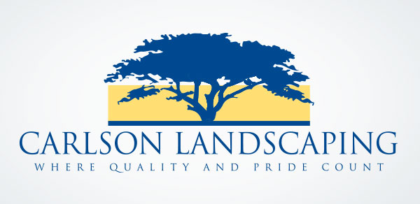 The Visual Sense Logo Design