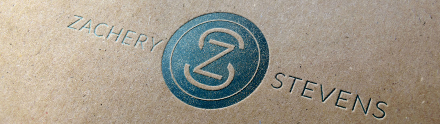 The Visual Sense Logo Design
