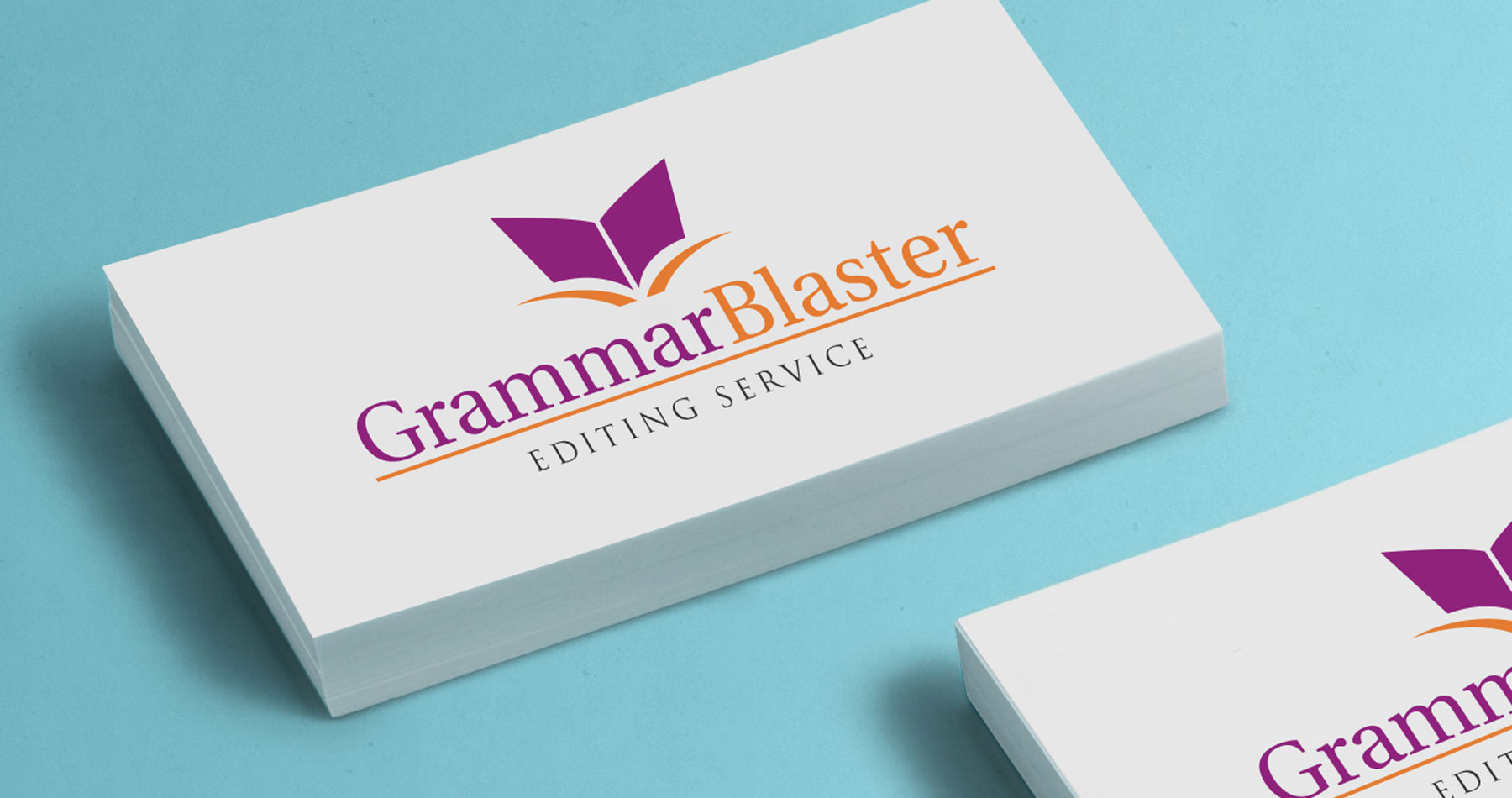 The Visual Sense Logo Design